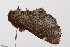  ( - UKLB3F12)  @12 [ ] CreativeCommons - Attribution (2009) Unspecified Centre for Biodiversity Genomics