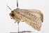  ( - UKLB3G06)  @11 [ ] CreativeCommons - Attribution (2009) Unspecified Centre for Biodiversity Genomics