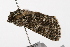  ( - UKLB3G08)  @11 [ ] CreativeCommons - Attribution (2009) Unspecified Centre for Biodiversity Genomics