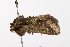  ( - UKLB3G12)  @11 [ ] CreativeCommons - Attribution (2009) Unspecified Centre for Biodiversity Genomics