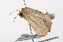  ( - UKLB3H05)  @11 [ ] CreativeCommons - Attribution (2009) Unspecified Centre for Biodiversity Genomics
