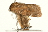  ( - UKLB11E08)  @12 [ ] CreativeCommons - Attribution (2009) Unspecified Centre for Biodiversity Genomics