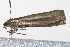  ( - UKLB5A05)  @12 [ ] CreativeCommons - Attribution (2009) Unspecified Centre for Biodiversity Genomics