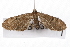  ( - UKLB5D12)  @13 [ ] CreativeCommons - Attribution (2009) Unspecified Centre for Biodiversity Genomics