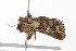  ( - UKLB5H03)  @12 [ ] CreativeCommons - Attribution (2009) Unspecified Centre for Biodiversity Genomics