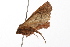  ( - UKLB10A01)  @12 [ ] CreativeCommons - Attribution (2009) Unspecified Centre for Biodiversity Genomics