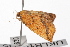  ( - UKLB10A05)  @11 [ ] CreativeCommons - Attribution (2009) Unspecified Centre for Biodiversity Genomics