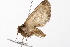  ( - UKLB10C06)  @11 [ ] CreativeCommons - Attribution (2009) Unspecified Centre for Biodiversity Genomics