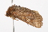  ( - UKLB10E04)  @11 [ ] CreativeCommons - Attribution (2009) Unspecified Centre for Biodiversity Genomics