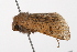  ( - UKLB10G05)  @11 [ ] CreativeCommons - Attribution (2009) Unspecified Centre for Biodiversity Genomics