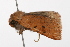  ( - UKLB10G06)  @11 [ ] CreativeCommons - Attribution (2009) Unspecified Centre for Biodiversity Genomics