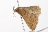  ( - UKLB10H08)  @11 [ ] CreativeCommons - Attribution (2009) Unspecified Centre for Biodiversity Genomics
