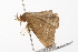  ( - UKLB10H09)  @11 [ ] CreativeCommons - Attribution (2009) Unspecified Centre for Biodiversity Genomics