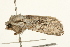  ( - UKLB7E02)  @12 [ ] CreativeCommons - Attribution (2009) Unspecified Centre for Biodiversity Genomics