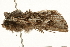  ( - UKLB7E05)  @12 [ ] CreativeCommons - Attribution (2009) Unspecified Centre for Biodiversity Genomics