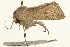  ( - UKLB7F11)  @11 [ ] CreativeCommons - Attribution (2009) Unspecified Centre for Biodiversity Genomics