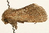  ( - UKLB7G01)  @14 [ ] CreativeCommons - Attribution (2009) Unspecified Centre for Biodiversity Genomics