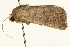  ( - UKLB9C12)  @13 [ ] CreativeCommons - Attribution (2009) Unspecified Centre for Biodiversity Genomics