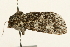  ( - UKLB9D05)  @12 [ ] CreativeCommons - Attribution (2009) Unspecified Centre for Biodiversity Genomics
