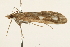  ( - UKLB9E09)  @11 [ ] CreativeCommons - Attribution (2009) Unspecified Centre for Biodiversity Genomics