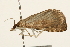  ( - UKLB9E10)  @12 [ ] CreativeCommons - Attribution (2009) Unspecified Centre for Biodiversity Genomics
