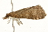  ( - UKLB9H07)  @13 [ ] CreativeCommons - Attribution (2009) Unspecified Centre for Biodiversity Genomics