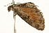  ( - UKLB9H08)  @12 [ ] CreativeCommons - Attribution (2009) Unspecified Centre for Biodiversity Genomics