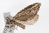  ( - UKLB3D09)  @13 [ ] CreativeCommons - Attribution (2010) Unspecified Centre for Biodiversity Genomics