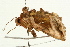  ( - UKLB4G01)  @12 [ ] CreativeCommons - Attribution (2010) Unspecified Centre for Biodiversity Genomics