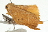  ( - UKLB21A09)  @11 [ ] CreativeCommons - Attribution (2009) Unspecified Centre for Biodiversity Genomics