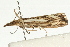  ( - UKLB21B11)  @11 [ ] CreativeCommons - Attribution (2009) Unspecified Centre for Biodiversity Genomics