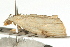  ( - UKLB21C12)  @13 [ ] CreativeCommons - Attribution (2009) Unspecified Centre for Biodiversity Genomics