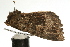  ( - UKLB21D05)  @12 [ ] CreativeCommons - Attribution (2009) Unspecified Centre for Biodiversity Genomics
