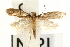  ( - UKLB21H01)  @14 [ ] CreativeCommons - Attribution (2009) Unspecified Centre for Biodiversity Genomics