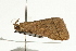  ( - UKLB21H12)  @11 [ ] CreativeCommons - Attribution (2009) Unspecified Centre for Biodiversity Genomics