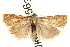  ( - UKLB20A03)  @14 [ ] CreativeCommons - Attribution (2009) Unspecified Centre for Biodiversity Genomics