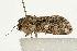  ( - UKLB20C04)  @11 [ ] CreativeCommons - Attribution (2009) Unspecified Centre for Biodiversity Genomics