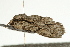  ( - UKLB20H04)  @13 [ ] CreativeCommons - Attribution (2009) Unspecified Centre for Biodiversity Genomics