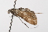  ( - UKLB12B09)  @11 [ ] CreativeCommons - Attribution (2009) Unspecified Centre for Biodiversity Genomics