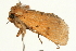  ( - UKLB11G09)  @11 [ ] CreativeCommons - Attribution (2009) Unspecified Centre for Biodiversity Genomics