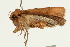  ( - UKLB11G11)  @11 [ ] CreativeCommons - Attribution (2009) Unspecified Centre for Biodiversity Genomics