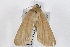  ( - UKLB12F12)  @13 [ ] CreativeCommons - Attribution (2009) Unspecified Centre for Biodiversity Genomics