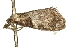  ( - UKLB13A02)  @12 [ ] CreativeCommons - Attribution (2009) Unspecified Centre for Biodiversity Genomics