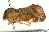  ( - UKLB13A07)  @12 [ ] CreativeCommons - Attribution (2009) Unspecified Centre for Biodiversity Genomics