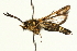  ( - UKLB13D04)  @13 [ ] CreativeCommons - Attribution (2009) Unspecified Centre for Biodiversity Genomics