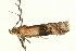  ( - UKLB13D07)  @13 [ ] CreativeCommons - Attribution (2009) Unspecified Centre for Biodiversity Genomics