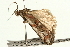  ( - UKLB13D10)  @12 [ ] CreativeCommons - Attribution (2009) Unspecified Centre for Biodiversity Genomics