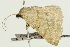  ( - UKLB13E11)  @12 [ ] CreativeCommons - Attribution (2009) Unspecified Centre for Biodiversity Genomics