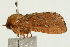 ( - UKLB13F01)  @14 [ ] CreativeCommons - Attribution (2009) Unspecified Centre for Biodiversity Genomics