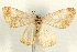  ( - UKLB13G10)  @11 [ ] CreativeCommons - Attribution (2009) Unspecified Centre for Biodiversity Genomics